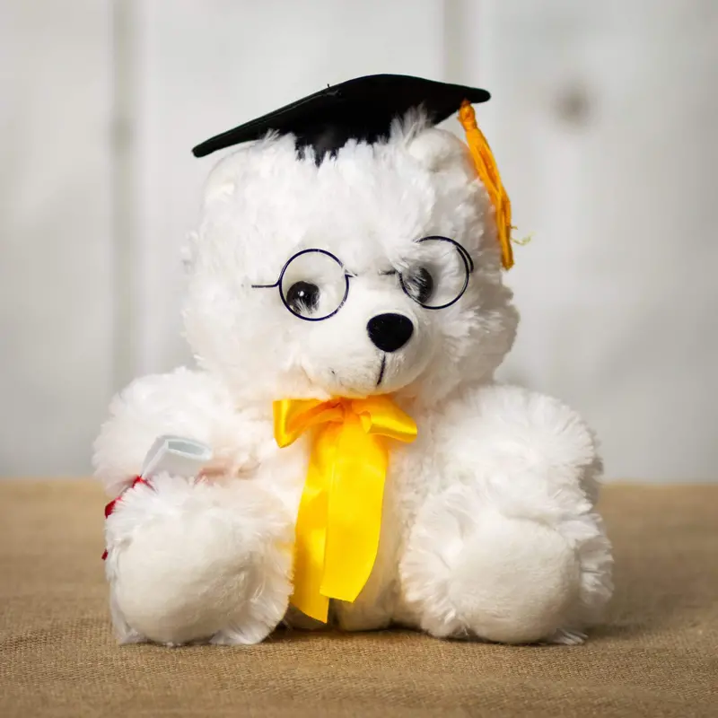 10-Inch Graduation-Themed Teddy Bear Gift 1
