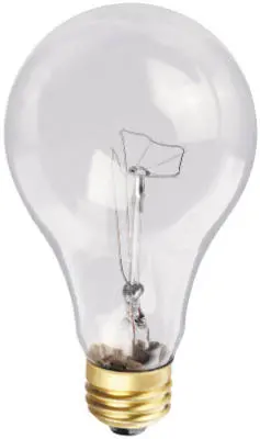 200W Clear General-Purpose Incandescent Bulb 1