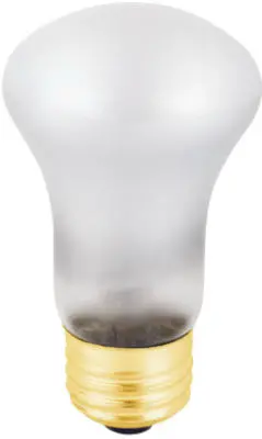 40-Watt Reflector Spot Bulb 1