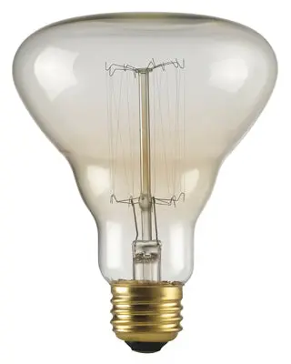Designer Labo Incandescent Light Bulb – 40W Classic Warm Glow 1