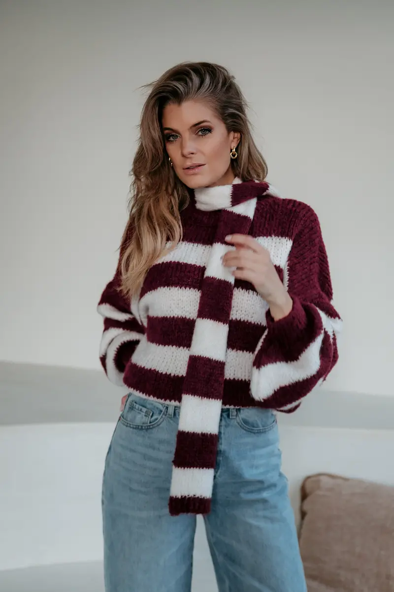 Elive Bordeaux Knit Sweater & Coordinating Scarf 1