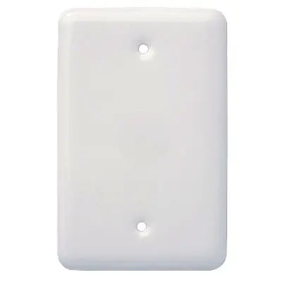 Single-Gang Blank Wall Plate In Matte White Finish 1