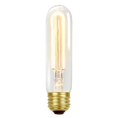 T10 Tinted Globe Edison Bulb – Vintage-Inspired 60W Look 1