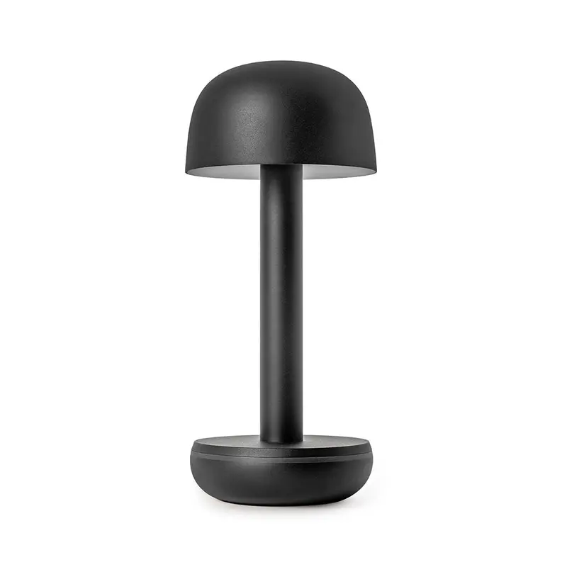 Two Table Light – Compact Dual-Lamp Desk Fixture 1